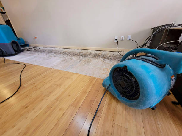 Professional Ceiling Water Damage Repair technician working in Boulevard, CA